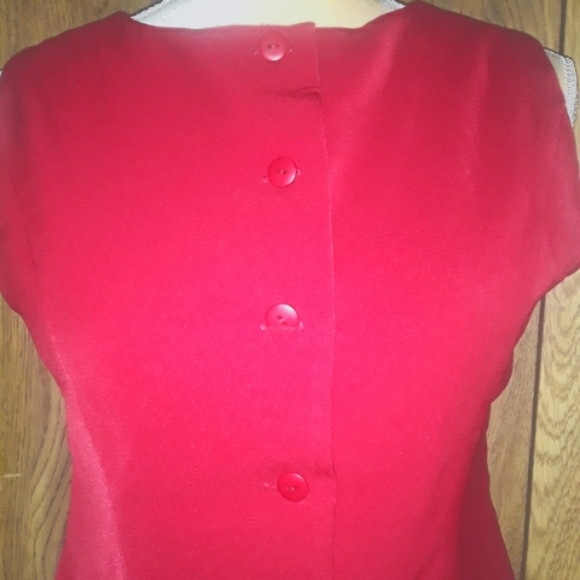 Red Sleeveless Size 10P Shirt Buttonup Elegant Top - Picture 2 of 4